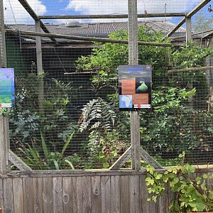 White-cheeked Turaco and Himalayan Monal Aviary at Northumberland College Zoo (2020)