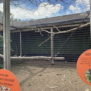 Von der Decken's Hornbill Aviary at Northumberland College Zoo (2020)