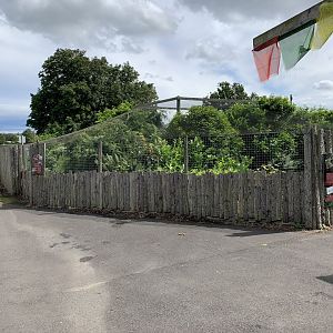 Raccoon Dog Enclosure at Northumberland College Zoo (2020)