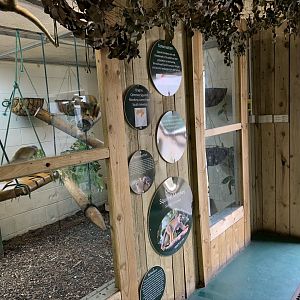 Squirrel Monkey Indoor Enclosure at Northumberland College Zoo (2020)