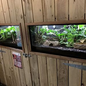 Reptile Exhibits at Northumberland College Zoo (2020)