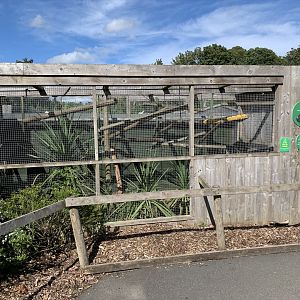 Palawan Binturong Enclosure at Northumberland College Zoo (2020)
