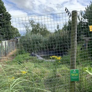 South American Coati Enclosure at Northumberland College Zoo (2020)