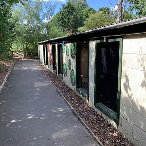 Coati and Genet Housing at Northumberland College Zoo (2020)