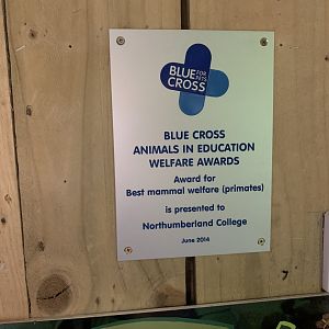 Award for Best Mammal Welfare (Primates) at Northumberland College Zoo (2020)