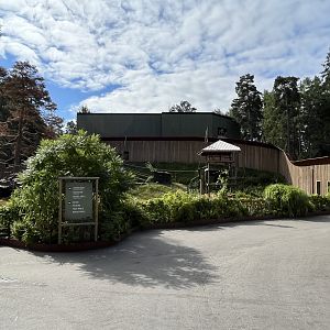 Chimpanzee Exhibit