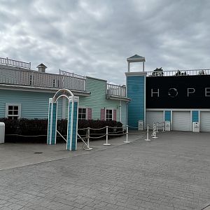 Dolphin Area - Marine World