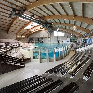 Dolphin Arena