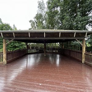 Chinese Dhole Exhibit