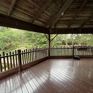 Chinese Dhole Exhibit