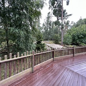 Chinese Dhole Exhibit