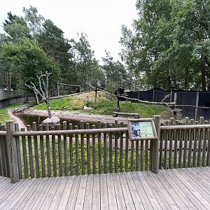 Red Panda/Small-clawed Otter Exhibit