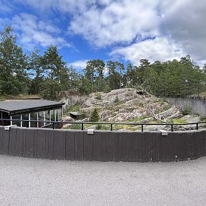 Snow Leopard Exhibit