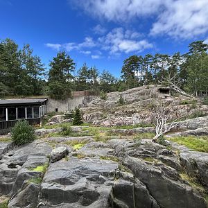 Snow Leopard Exhibit - see two cats?