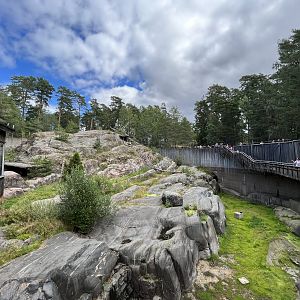 Snow Leopard Exhibit