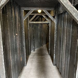 Snow Leopard Exhibit - mine shaft