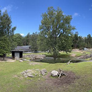 South American Pampas