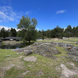 South American Pampas