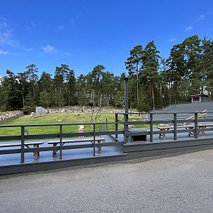 Bird Show Amphitheatre