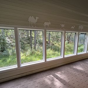 European Lynx Exhibit