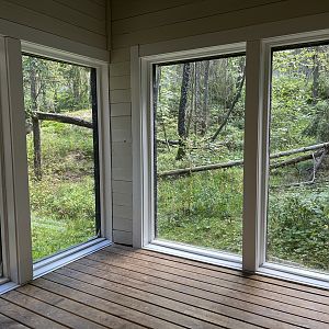 European Lynx Exhibit