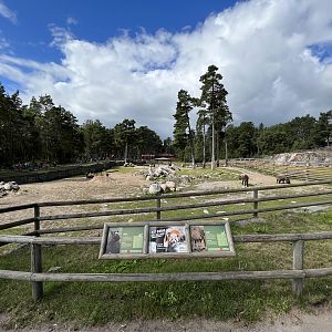 Mishmi Takin/Bactrian Camel Exhibit