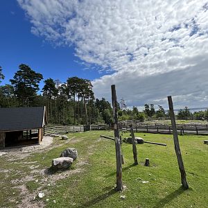 Mishmi Takin Exhibit