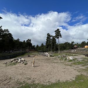 Mishmi Takin/Bactrian Camel Exhibit