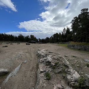 Asian Savanna - huge enclosure