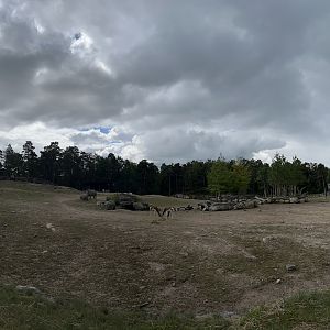 African Savanna - about to rain