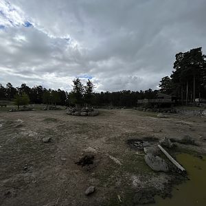 African Savanna - about to rain