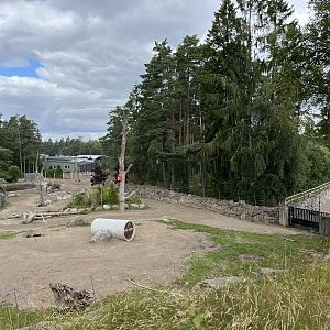 Asian Elephant Exhibit