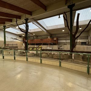 White Rhino - indoor quarters