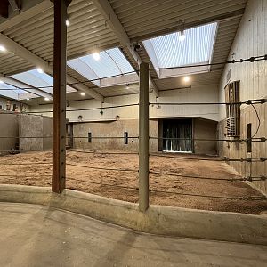 Asian Elephant - indoor quarters