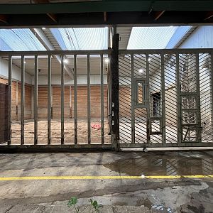 Asian Elephant - indoor quarters