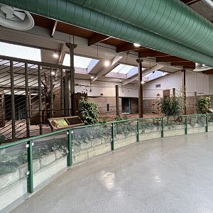 Asian Elephant - indoor quarters