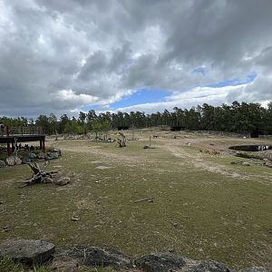 African Savanna - huge enclosure