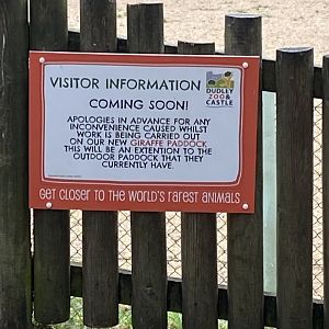 Giraffe expansion update