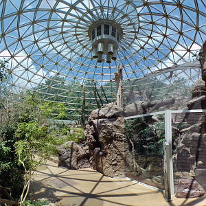 Aug. 2022 - The Desert - First View