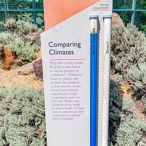 Aug. 2022 - The Desert - Comparing Climates