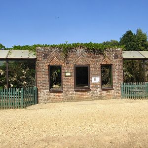 Cotton-Top Tamarin Exhibit