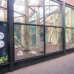 Indoor Lemur Exhibit