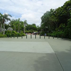 Entrance Approach at Disney's Animal Kingdom (2014)
