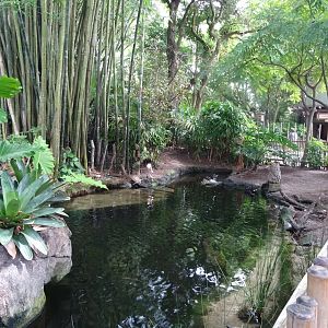 Oasis Enclosures at Disney's Animal Kingdom (2014)