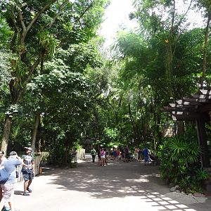 General View of the Oasis Area at Disney's Animal Kingdom (2014)