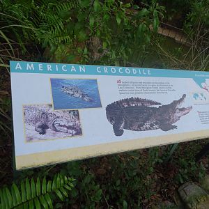 American Crocodile Signage at Disney's Animal Kingdom (2014)