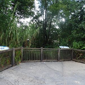 Asian Brown Tortoise and Abdim's Stork Viewing Area at Disney's Animal Kingdom (2014)