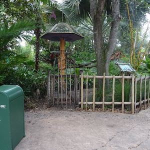 Macaw Enclosure at Disney's Animal Kingdom (2014)