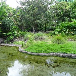 Flamingo, Vulture and Kangaroo Enclosure at Disney's Animal Kingdom (2014)