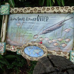 Asian Small-clawed Otter Signage at Disney's Animal Kingdom (2014)
